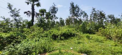 Image of 1060 Sq.ft Residential Plot / Land for sale in Bhogapuram, Vizianagaram for Rs. 7500000