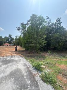 Image of 7630 Sq.ft Residential Plot / Land for sale in Ambagilu, Udupi for Rs. 10500000