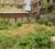 Green Field Main Image 1