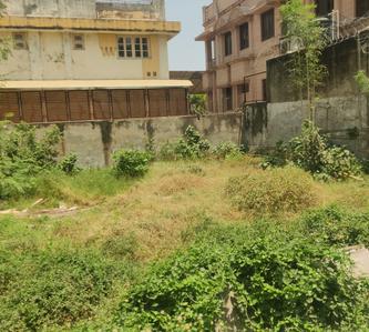 Green Field Plot View 1