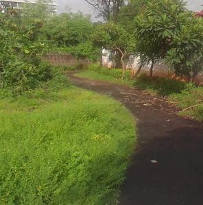Image of 480 Sq.ft Residential Plot / Land for sale in Sancoale, Goa for Rs. 19500000