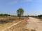 Sirsi Plot View 2