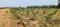 Bhogapuram Plot View 2