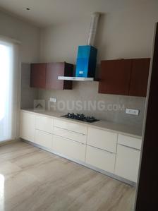 Kitchen Image of 4370 Sq.ft 5 BHK Villa for sale in DLF Mullanpur Chandigarh for Rs. 43500000