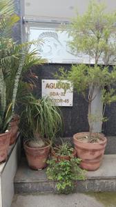 Image of Agudo living in Sector 45, Noida
