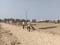 Narpatganj colony Main Image 1