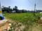 Fingapara Main Image 1