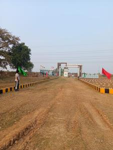 Bihta Plot View 2