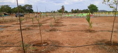 Image of 9205 Sq.ft Residential Plot / Land for sale in Palliagaram, Chennai for Rs. 3313800