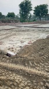 Image of 1150 Sq.ft Residential Plot / Land for sale in Harhua, Varanasi for Rs. 2900000