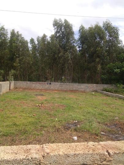 KNS Candrill Main Image 1