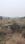 Videep Park Main Image 1