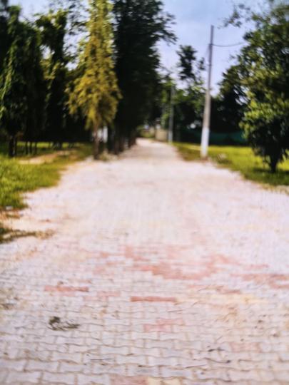 DLF City Phase 1 Main Image 1