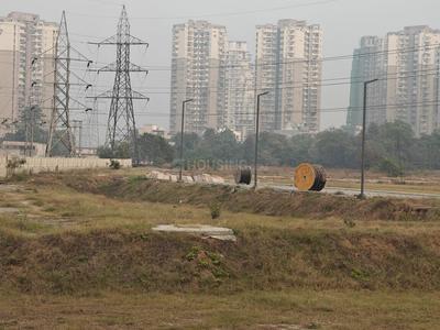 Sector 67 Plot View 2