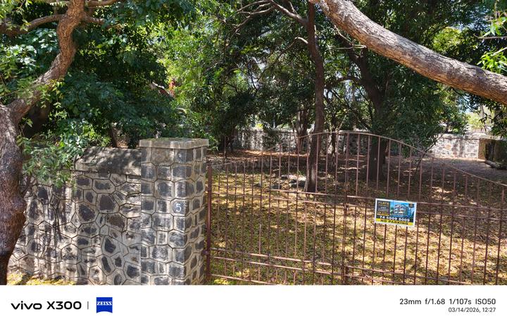 Prestige Silver Springs Main Image 1