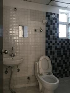 Common Bathroom Image of 1050 Sq.ft 2 BHK Apartment / Flat for rent in Divyansh Flora, Noida Extension Greater Noida for Rs. 19000
