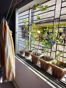 Balcony Image of 788 Sq.ft 2 BHK Apartment / Flat for sale in Sadhankeri Dharwad for Rs. 3000000
