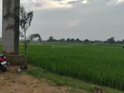 Image of 1000 Sq.ft Residential Plot / Land for sale in Arsande, Ranchi for Rs. 1500000