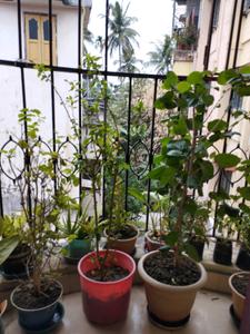 Bedroom One Image of 890 Sq.ft 2 BHK Apartment / Flat for sale in Prantik Apartment, Paschim Barisha Kolkata for Rs. 3200000