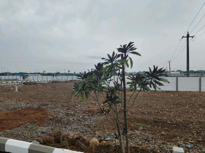 Image of 1200 Sq.ft Residential Plot / Land for sale in Avadi, Chennai for Rs. 4198800