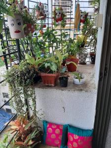 Balcony Image of 1350 Sq.ft 3 BHK Apartment / Flat for rent in Sadguru Poonam Heights, Goregaon West Mumbai for Rs. 135000