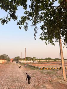 Image of 1000 Sq.ft Residential Plot / Land for sale in Nagram, Lucknow for Rs. 1499000