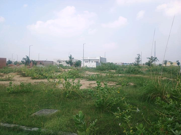 YEIDA Individual Residential Plots Main Image 1