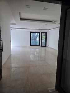 Hall Image of 4500 Sq.ft 4 BHK Builder Floor for rent in West End New Delhi for Rs. 550000