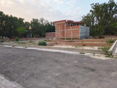 Blossom paradise  Plot View 2