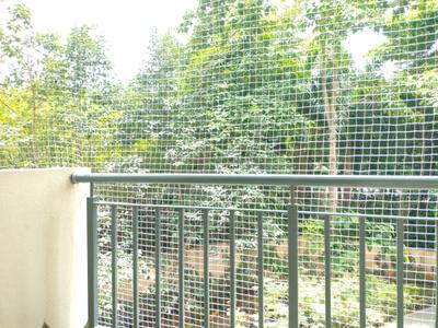 Balcony Image of 907 Sq.ft 2 BHK Apartment / Flat for rent in Akshayanagar Bengaluru for Rs. 36000