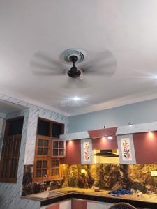 Hall Image of 800 Sq.ft 2 BHK Apartment / Flat for rent in Sarfarazganj Lucknow for Rs. 14000
