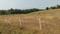 Neral Plot View 2