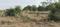 Jagatpura Plot View 2