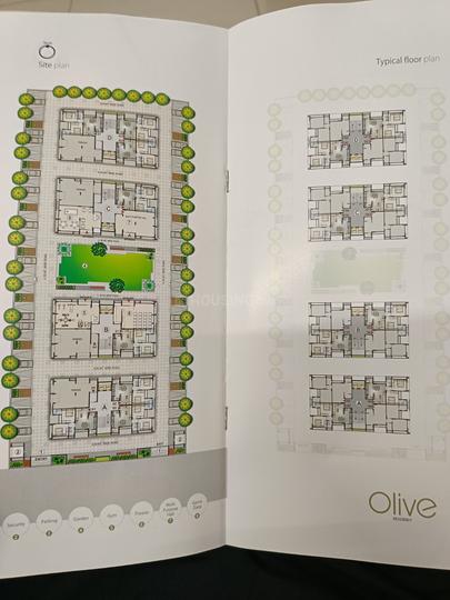 Loyal Olive Residency Main Image 1