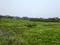 Sonargaon 2 Main Image 1