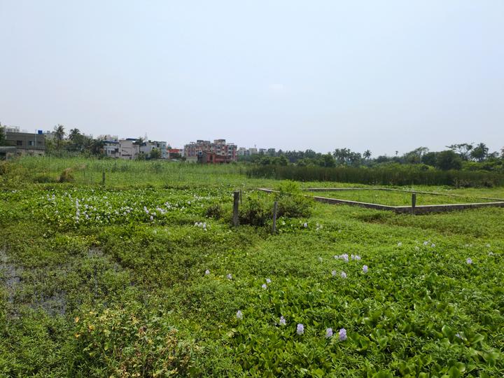 Sonargaon 2 Main Image 1