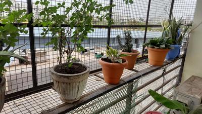 Balcony Image of 1550 Sq.ft 3 BHK Apartment / Flat for sale in Khodiyar Colony Jamnagar for Rs. 5200000