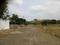 Kinathukadavu Plot View 2