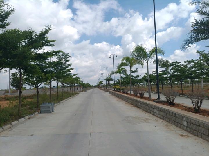 Chegunta Main Image 1