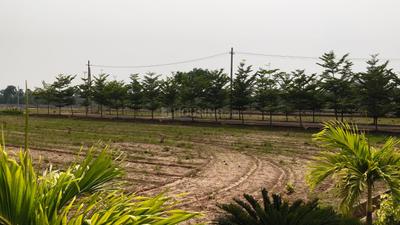 Image of 100 Sq.ft Residential Plot / Land for sale in Bhogapuram, Visakhapatnam for Rs. 1500000
