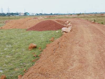 Image of 1200 Sq.ft Residential Plot / Land for sale in Patrapada, Bhubaneswar for Rs. 3601200