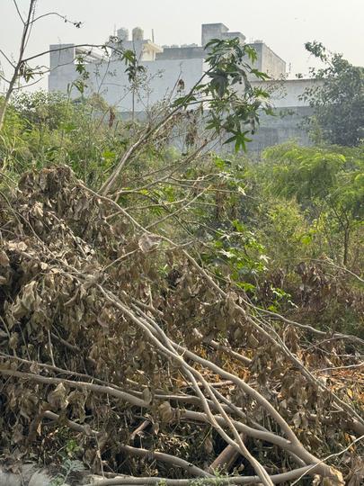 Experion Westerlies Phase 3 Main Image 1