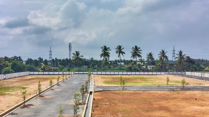 Avinashi Taluk Main Image 1