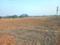 Gmreddy Realestate Plot View 1