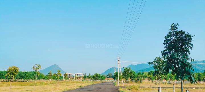 YSR Nagar Main Image 1