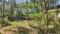 Divar Island Plot View 2