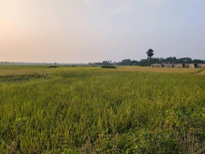 Image of 720 Sq.ft Residential Plot / Land for sale in New Town, Kolkata for Rs. 1210000