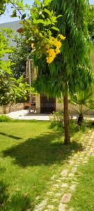 Image of 200 Sq.ft Residential Plot / Land for sale in Delta II, Greater Noida for Rs. 33000000