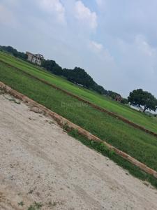 Barai Plot View 2
