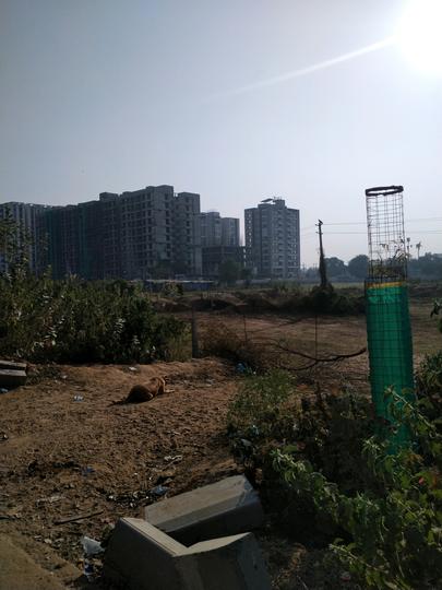 Thaltej Main Image 1